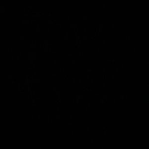 Meet your Posher, Giaaa